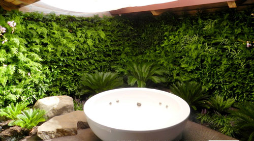 Thiết kế mảng tường xanh trong nhà | ảnh 4